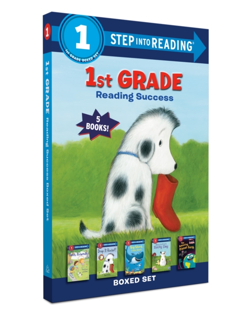 1st Grade Reading Success Boxed Set