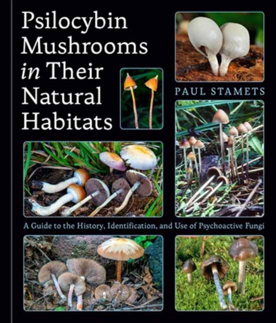 Psilocybin Mushrooms in Their Natural Habitats