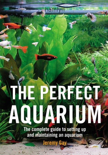 Perfect Aquarium