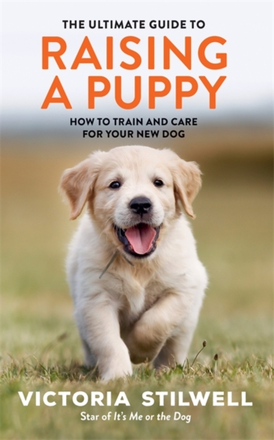 Ultimate Guide to Raising a Puppy