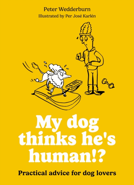 My dog thinks he's human!?