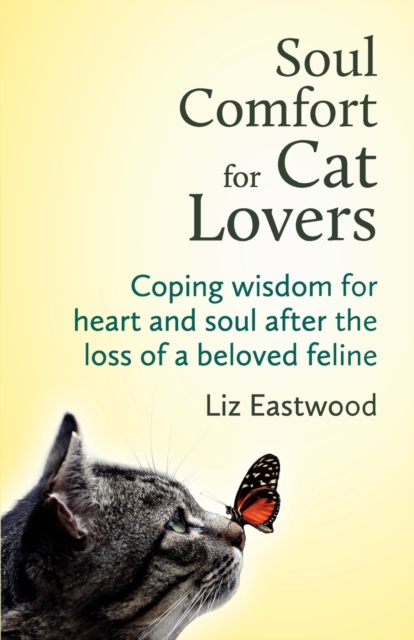 Soul Comfort for Cat Lovers