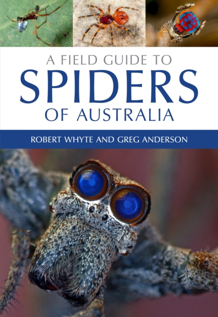 Field Guide to Spiders of Australia