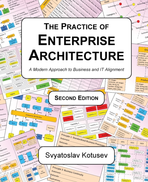 Practice of Enterprise Architecture