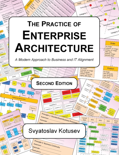 Practice of Enterprise Architecture
