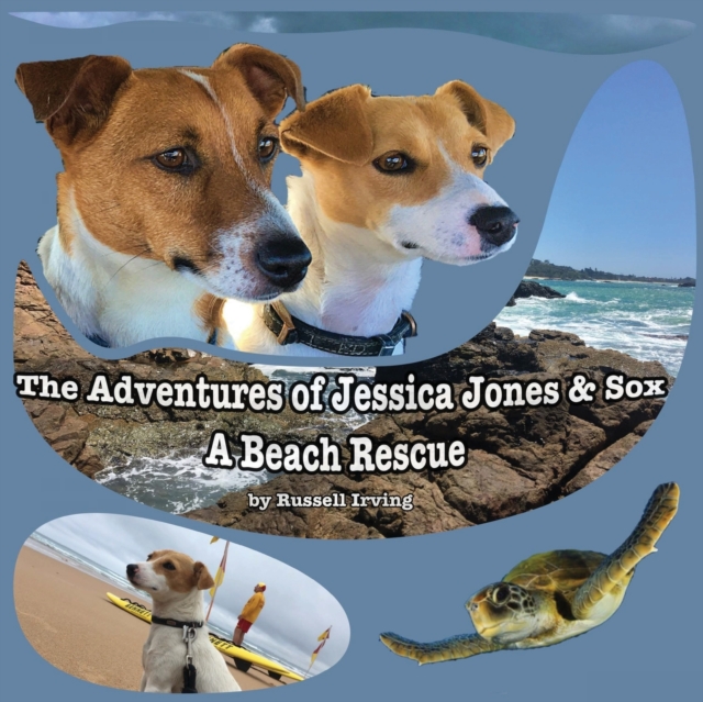 Adventures of Jessica Jones & Sox - A Beach Rescue