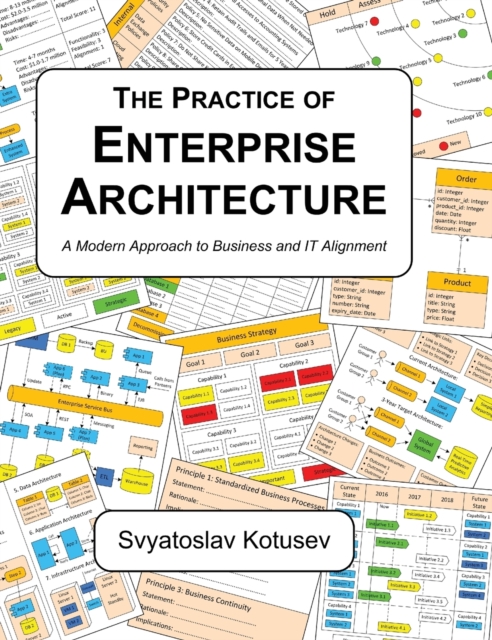 Practice of Enterprise Architecture