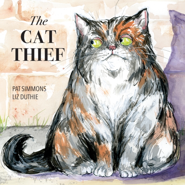 Cat Thief