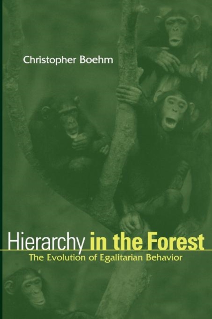 Hierarchy in the Forest