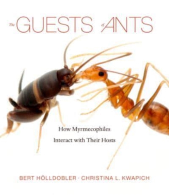 Guests of Ants