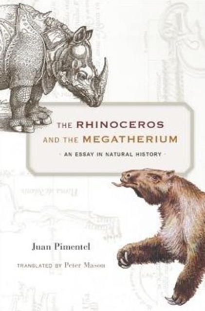 Rhinoceros and the Megatherium