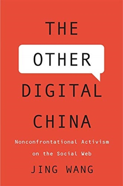 Other Digital China