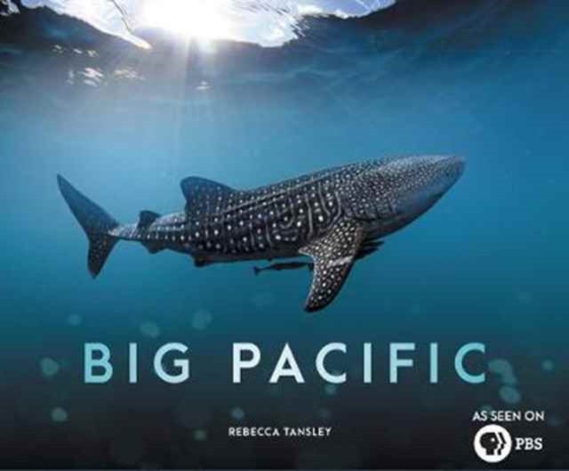 Big Pacific - Passionate, Voracious, Mysterious, Violent