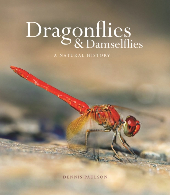 Dragonflies and Damselflies