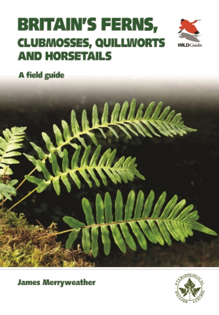 Britain's Ferns, Clubmosses, Spikemosses, Quillworts and Horsetails