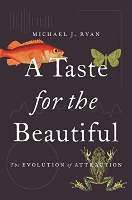 Taste for the Beautiful