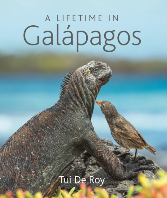Lifetime in Galapagos