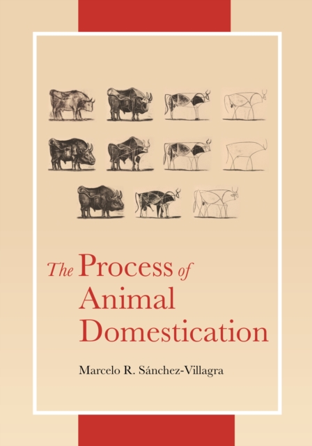 Process of Animal Domestication