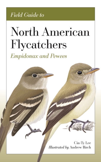 Field Guide to North American Flycatchers