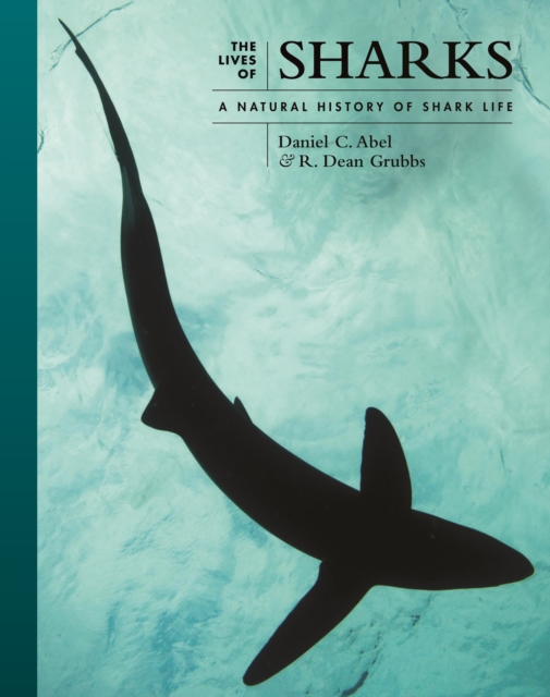 Lives of Sharks