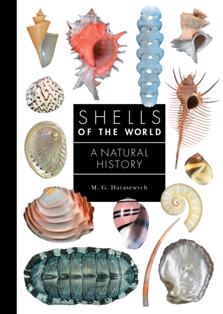 Shells of the World