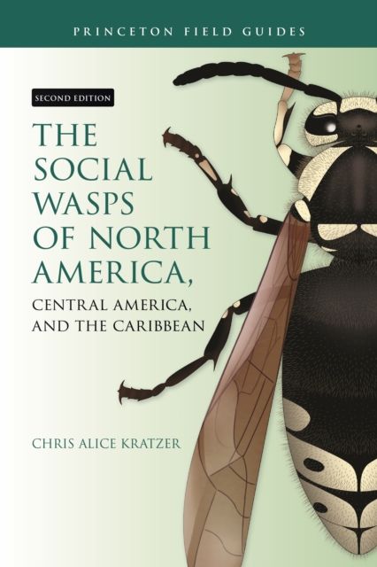 Social Wasps of North America, Central America, and the Caribbean, Second Edition