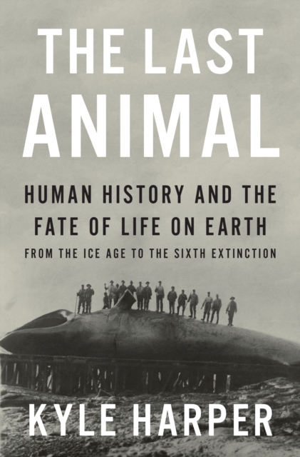 The Last Animal