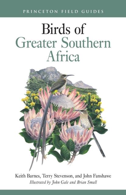 Birds of Greater Southern Africa