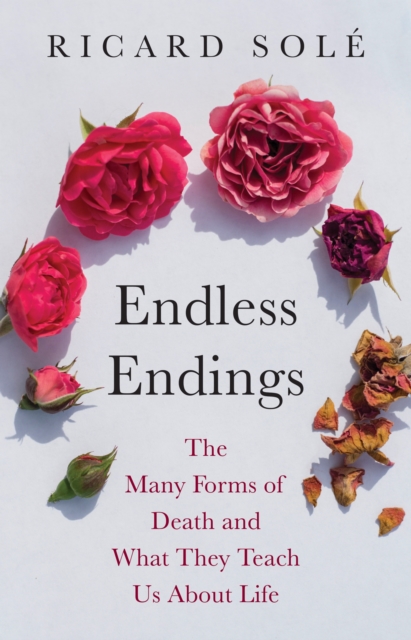 Endless Endings
