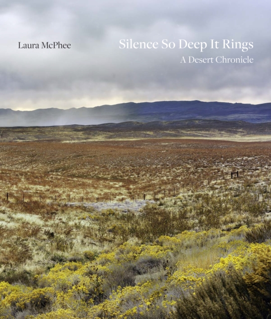 Silence So Deep It Rings