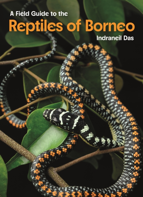 Field Guide to the Reptiles of Borneo