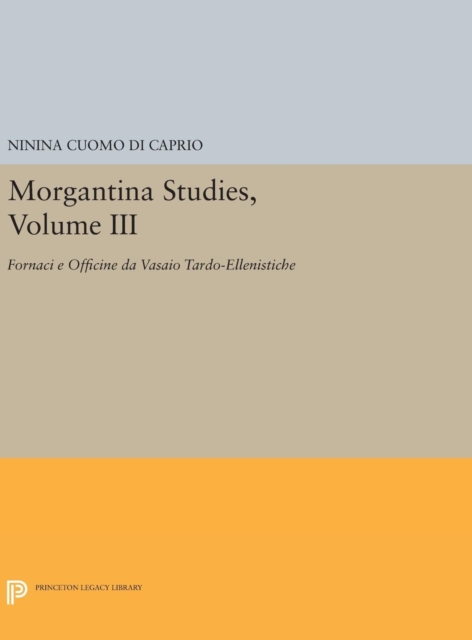 Morgantina Studies, Volume III