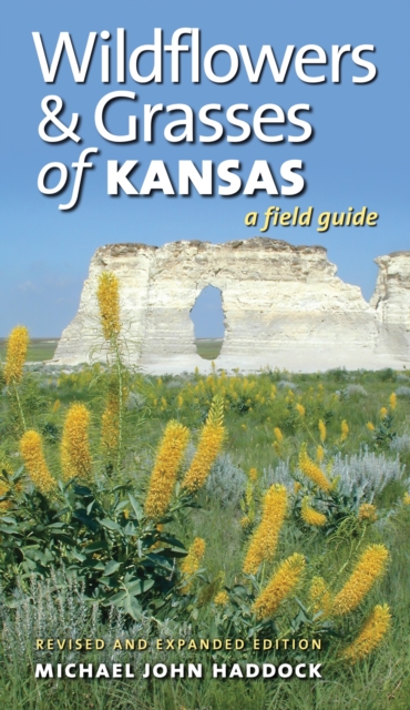 Wildflowers and Grasses of Kansas