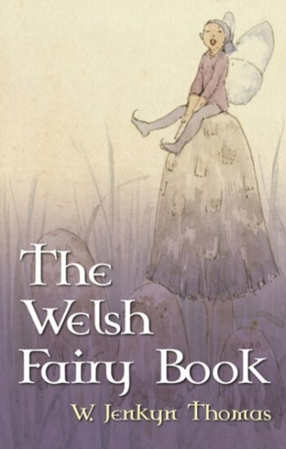 Welsh Fairy Book