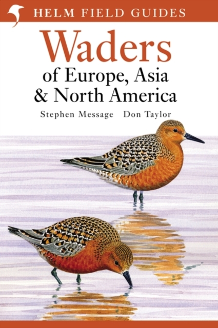 Waders of Europe, Asia and North America