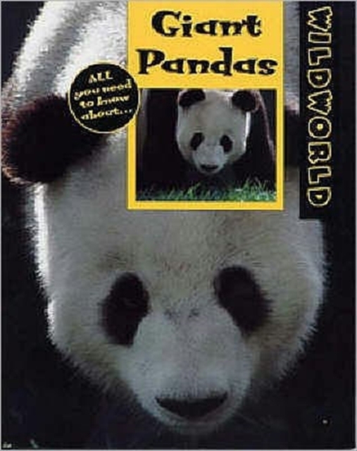 Giant Pandas