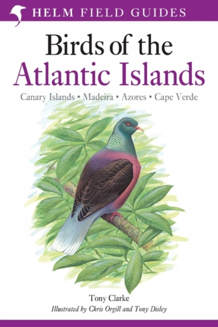 Field Guide to the Birds of the Atlantic Islands