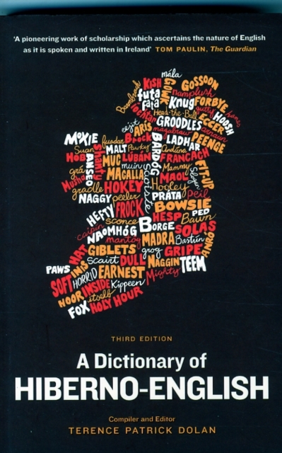 Dictionary of Hiberno-English