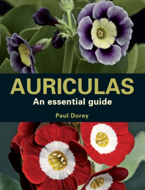 AURICULAS AN ESSENTIAL GUIDE