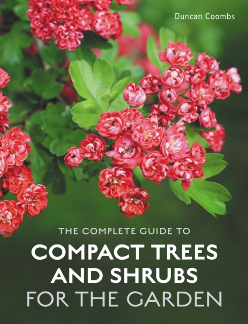 Complete Guide to Compact Trees and Shrubs