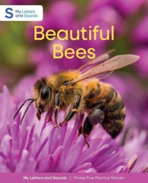 Beautiful Bees