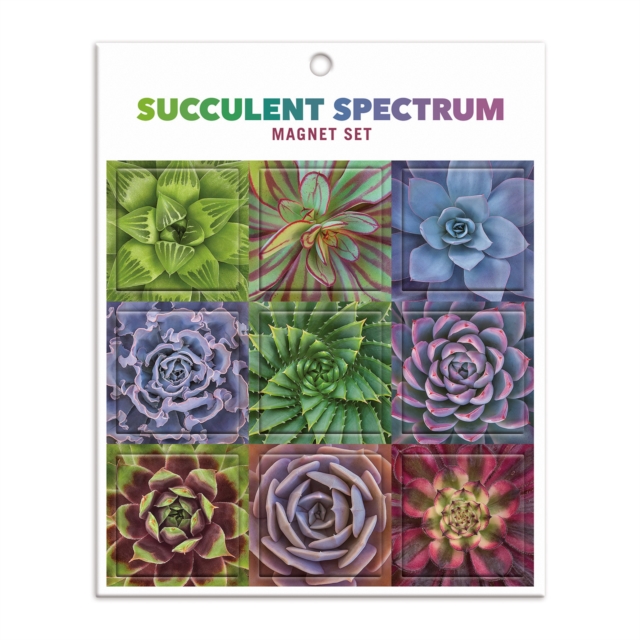 Succulent Spectrum Magnet Set