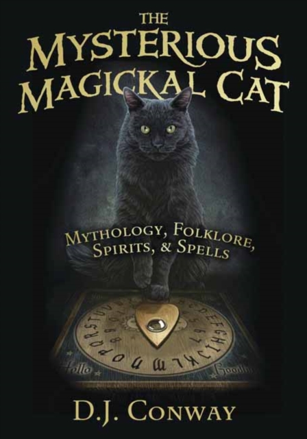 Mysterious Magickal Cat