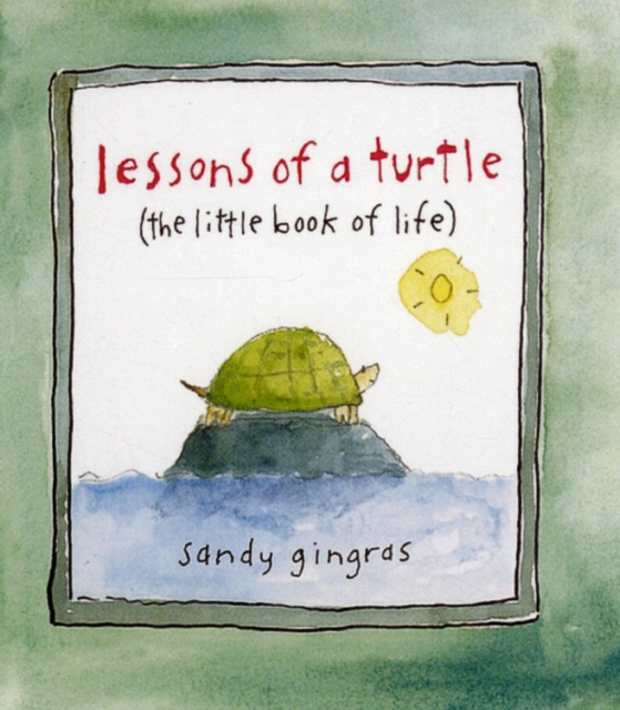 Lessons of a Turtle