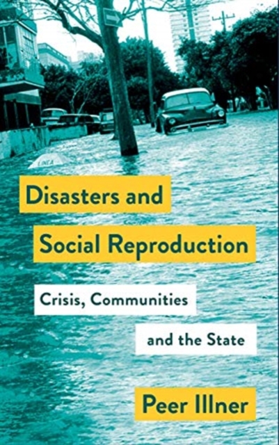 Disasters and Social Reproduction