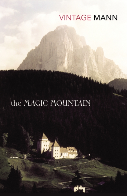 The Magic Mountain (Vintage Classics)