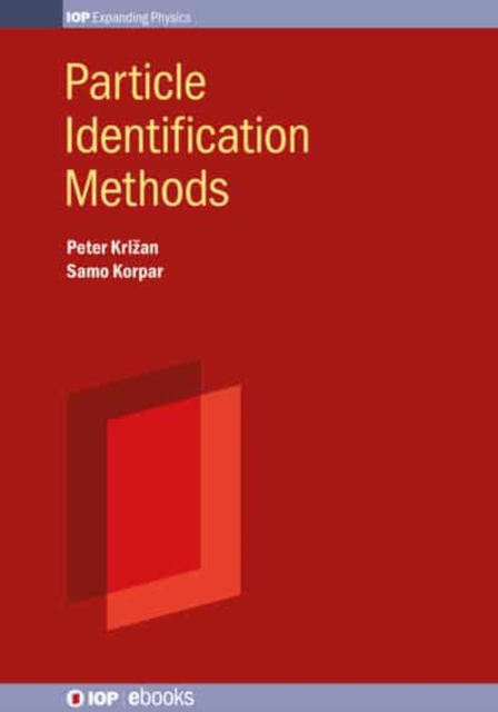 Particle Identification Methods