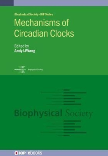 Mechanisms of Circadian Clocks