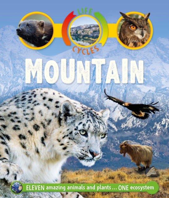 LIFE CYCLES MOUNTAIN