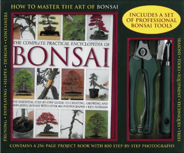 How to Master the Art of Bonsai